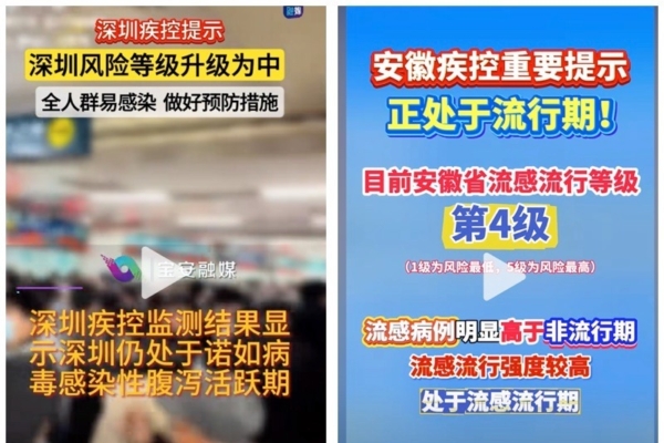 奇塔迪尼面